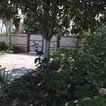 أوتشاميتشيرا Guest House Evkalipt المظهر الخارجي الصورة