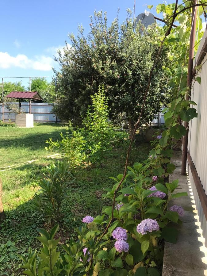أوتشاميتشيرا Guest House Evkalipt المظهر الخارجي الصورة