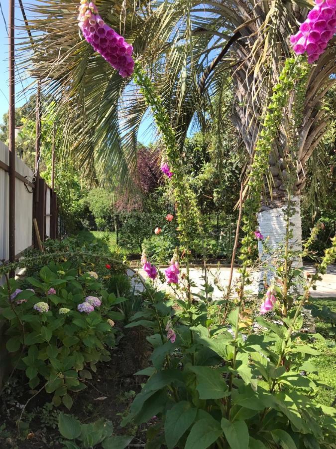 أوتشاميتشيرا Guest House Evkalipt المظهر الخارجي الصورة