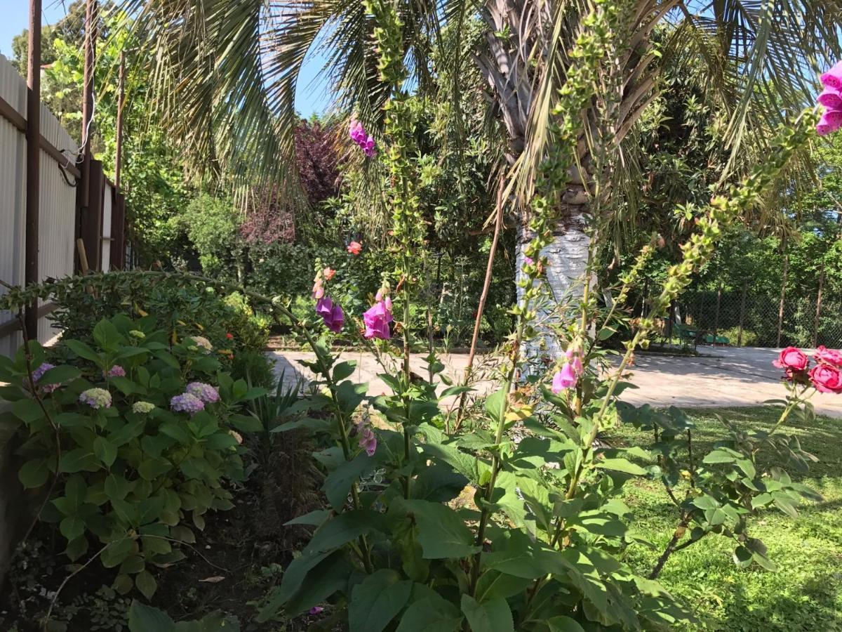 أوتشاميتشيرا Guest House Evkalipt المظهر الخارجي الصورة