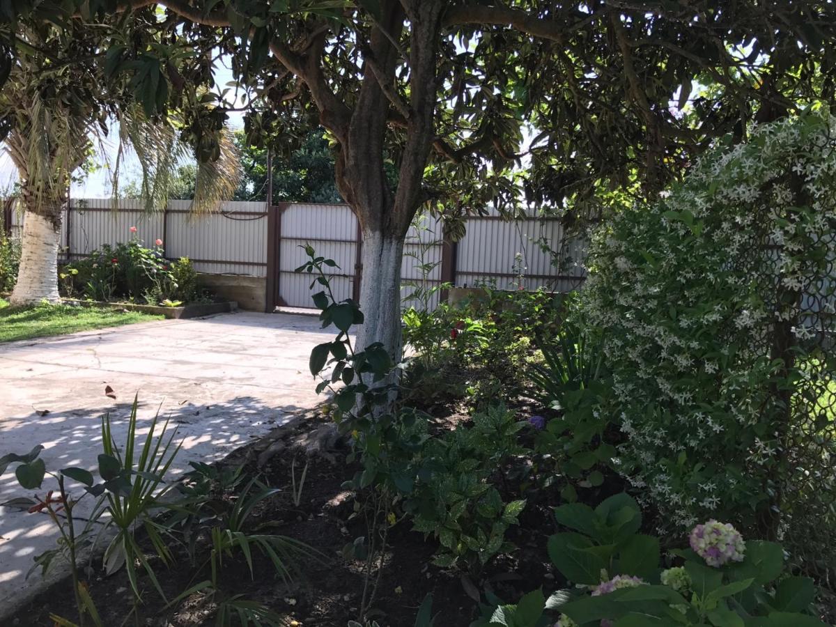 أوتشاميتشيرا Guest House Evkalipt المظهر الخارجي الصورة