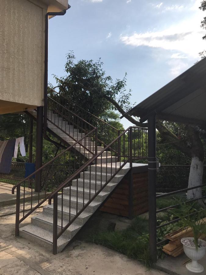 أوتشاميتشيرا Guest House Evkalipt المظهر الخارجي الصورة